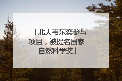 北大韦东奕参与项目，被提名国家自然科学奖