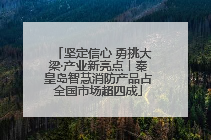 坚定信心 勇挑大梁·产业新亮点丨秦皇岛智慧消防产品占全国市场超四成