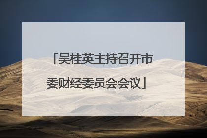 吴桂英主持召开市委财经委员会会议