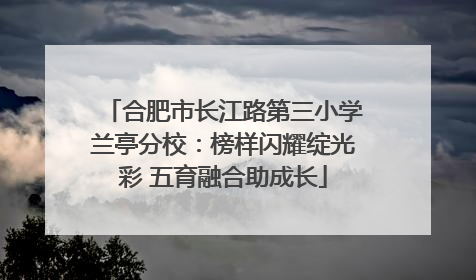 合肥市长江路第三小学兰亭分校：榜样闪耀绽光彩 五育融合助成长