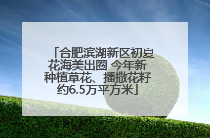 合肥滨湖新区初夏花海美出圈 今年新种植草花、播撒花籽约6.5万平方米