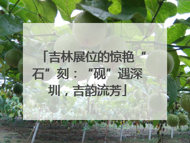 吉林展位的惊艳“石”刻：“砚”遇深圳，吉韵流芳