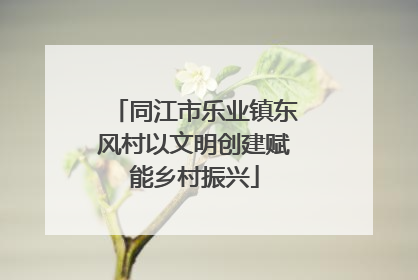 同江市乐业镇东风村以文明创建赋能乡村振兴
