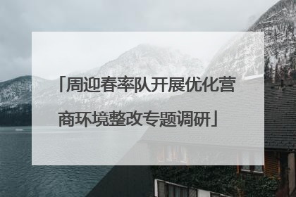 周迎春率队开展优化营商环境整改专题调研