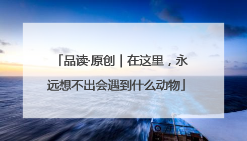品读·原创｜在这里，永远想不出会遇到什么动物