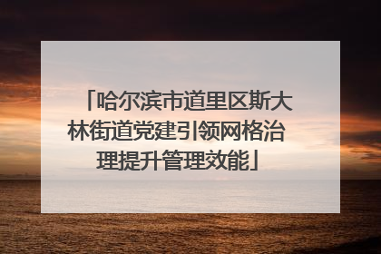 哈尔滨市道里区斯大林街道党建引领网格治理提升管理效能