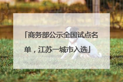 商务部公示全国试点名单，江苏一城市入选
