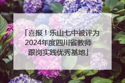 喜报！乐山七中被评为2024年度四川省教师跟岗实践优秀基地