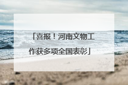 喜报！河南文物工作获多项全国表彰