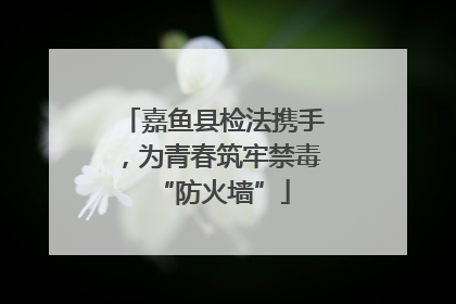 嘉鱼县检法携手，为青春筑牢禁毒“防火墙”