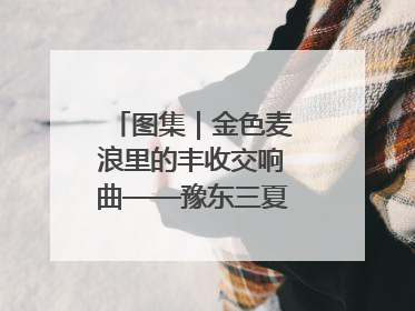 图集｜金色麦浪里的丰收交响曲——豫东三夏抢收纪实
