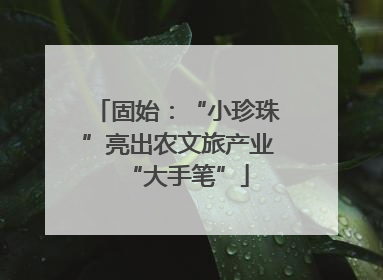固始：“小珍珠”亮出农文旅产业“大手笔”