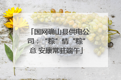 国网确山县供电公司：“粽”情“粽”意 安康常驻端午