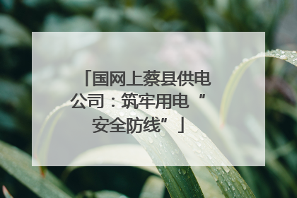 国网上蔡县供电公司：筑牢用电“安全防线”