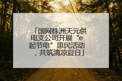 国网株洲天元供电支公司开展“e起节电”惠民活动，共筑清凉夏日