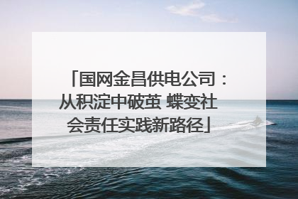 国网金昌供电公司：从积淀中破茧 蝶变社会责任实践新路径