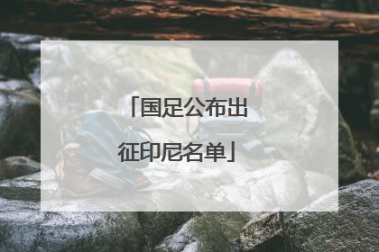国足公布出征印尼名单