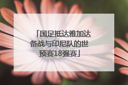 国足抵达雅加达备战与印尼队的世预赛18强赛