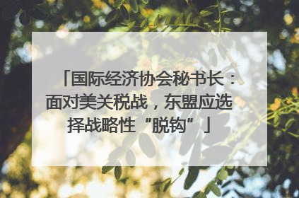 国际经济协会秘书长：面对美关税战，东盟应选择战略性“脱钩”