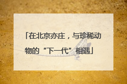 在北京亦庄，与珍稀动物的“下一代”相遇