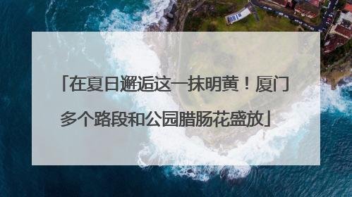 在夏日邂逅这一抹明黄！厦门多个路段和公园腊肠花盛放