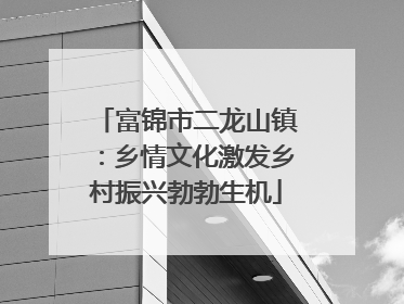 富锦市二龙山镇：乡情文化激发乡村振兴勃勃生机