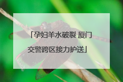 孕妇羊水破裂 厦门交警跨区接力护送