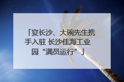 宴长沙、大碗先生携手入驻 长沙佳海工业园“满员运行”