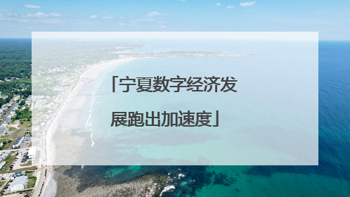 宁夏数字经济发展跑出加速度