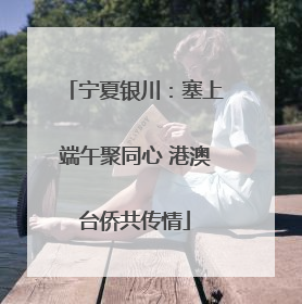 宁夏银川：塞上端午聚同心 港澳台侨共传情