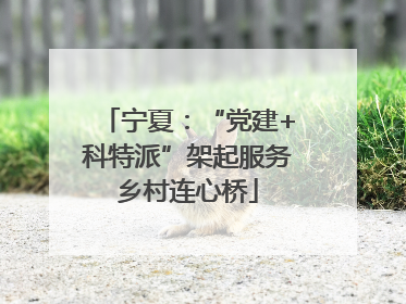 宁夏：“党建+科特派”架起服务乡村连心桥
