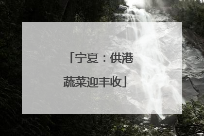 宁夏：供港蔬菜迎丰收