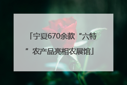 宁夏670余款“六特”农产品亮相农展馆
