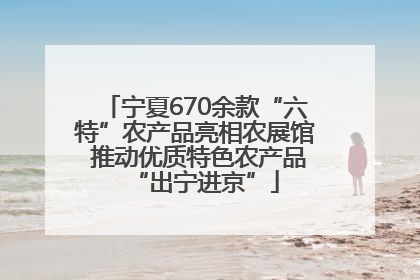 宁夏670余款“六特”农产品亮相农展馆 推动优质特色农产品“出宁进京”