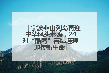 宁波韭山列岛再迎中华凤头燕鸥，24对“酷鸥”喜结连理迎接新生命