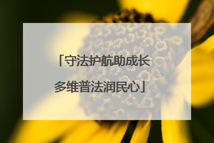 守法护航助成长 多维普法润民心
