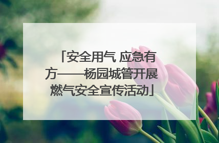安全用气 应急有方——杨园城管开展燃气安全宣传活动