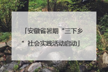 安徽省暑期“三下乡”社会实践活动启动