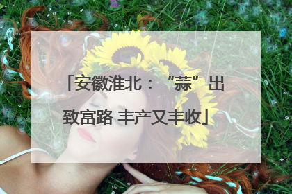 安徽淮北：“蒜”出致富路 丰产又丰收