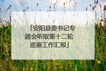 安阳县委书记专题会听取第十二轮巡察工作汇报