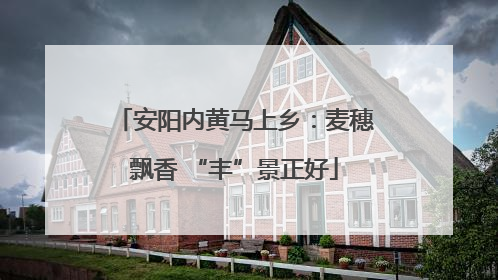 安阳内黄马上乡：麦穗飘香 “丰”景正好