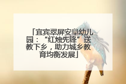 宜宾翠屏安阜幼儿园：“红烛先锋”送教下乡，助力城乡教育均衡发展