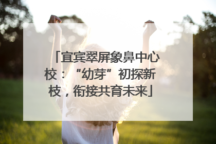 宜宾翠屏象鼻中心校：“幼芽”初探新枝，衔接共育未来