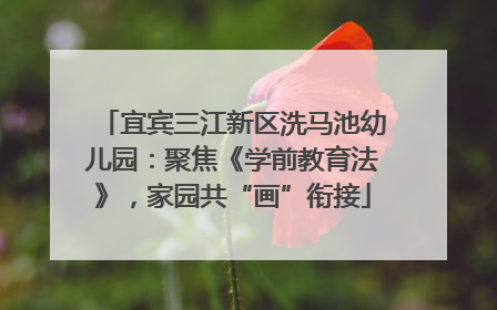 宜宾三江新区洗马池幼儿园：聚焦《学前教育法》，家园共“画”衔接