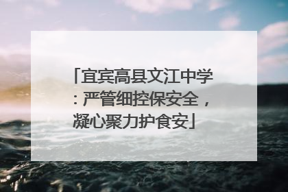 宜宾高县文江中学：严管细控保安全，凝心聚力护食安