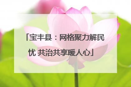 宝丰县：网格聚力解民忧 共治共享暖人心