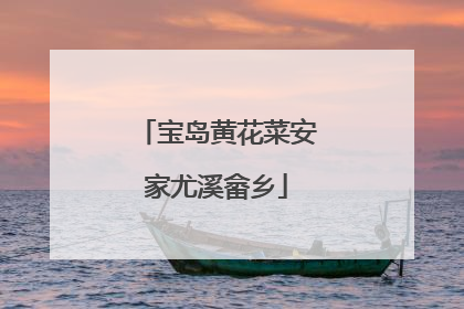 宝岛黄花菜安家尤溪畲乡