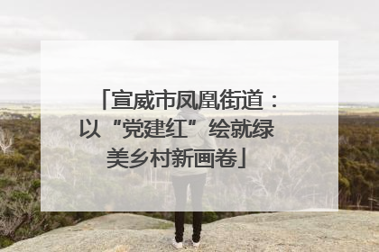 宣威市凤凰街道：以“党建红”绘就绿美乡村新画卷