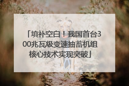 填补空白！我国首台300兆瓦级变速抽蓄机组核心技术实现突破