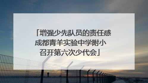 增强少先队员的责任感 成都青羊实验中学附小召开第六次少代会
